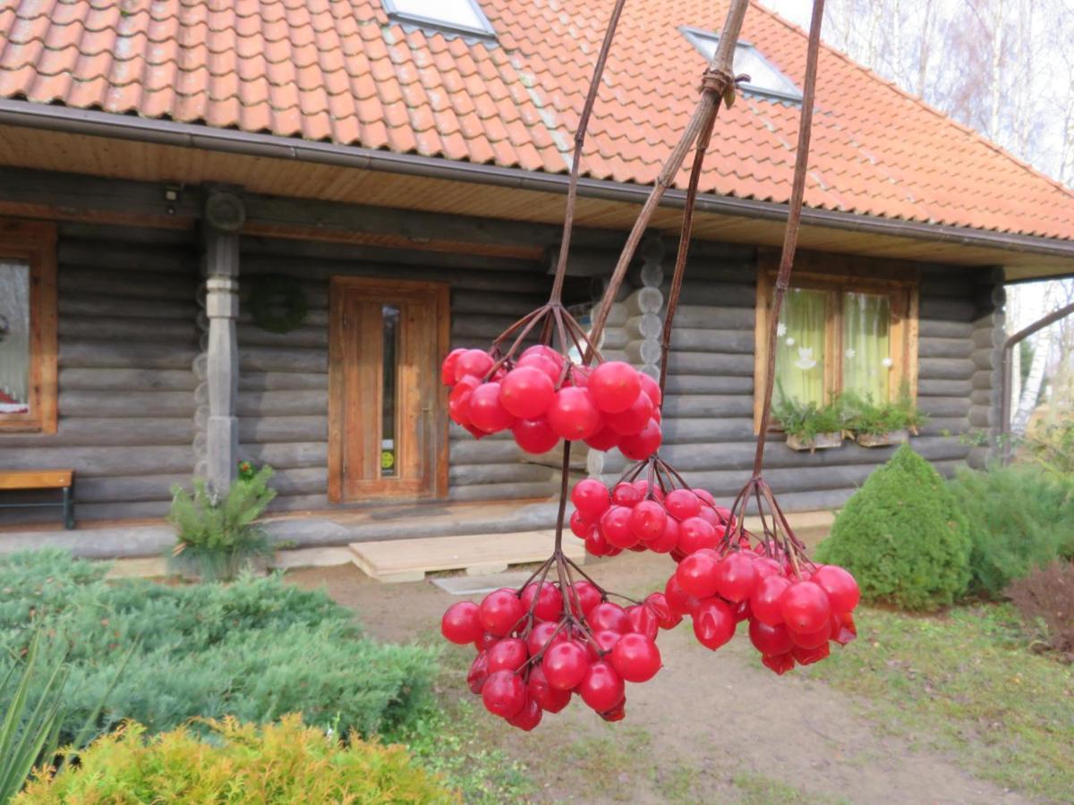Guest House Leveri Valgalciems エクステリア 写真